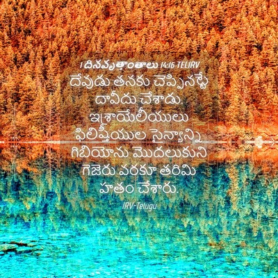 Picture 04 - 1 దినవృత్తాంతాలు 14:16 TELIRV - దేవుడు తనకు - Bible Verse Picture