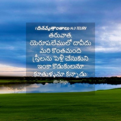 Picture 04 - 1 దినవృత్తాంతాలు 14:3 TELIRV - తరువాత, - Bible Verse Picture