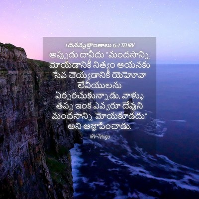 Picture 04 - 1 దినవృత్తాంతాలు 15:2 TELIRV - అప్పుడు దావీదు - Bible Verse Picture