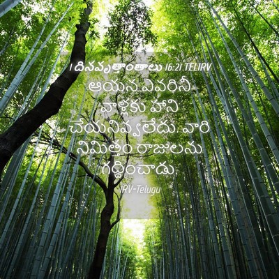 Picture 04 - 1 దినవృత్తాంతాలు 16:21 TELIRV - ఆయన ఎవరినీ - Bible Verse Picture