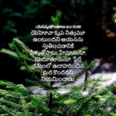 Picture 04 - 1 దినవృత్తాంతాలు 16:41 TELIRV - యెహోవా కృప - Bible Verse Picture