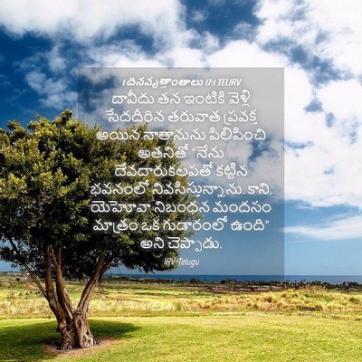 Picture 04 - 1 దినవృత్తాంతాలు 17:1 TELIRV - దావీదు తన ఇంటికి - Bible Verse Picture
