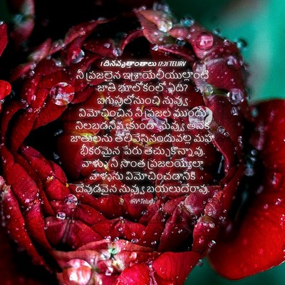 Picture 04 - 1 దినవృత్తాంతాలు 17:21 TELIRV - నీ ప్రజలైన - Bible Verse Picture