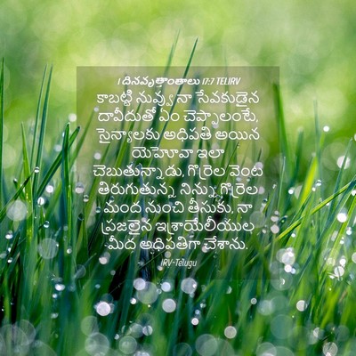 Picture 04 - 1 దినవృత్తాంతాలు 17:7 TELIRV - కాబట్టి నువ్వు నా - Bible Verse Picture