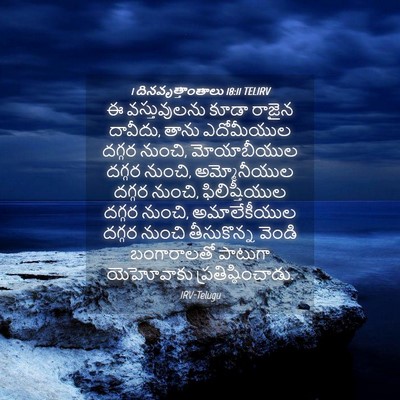 Picture 04 - 1 దినవృత్తాంతాలు 18:11 TELIRV - ఈ వస్తువులను కూడా - Bible Verse Picture