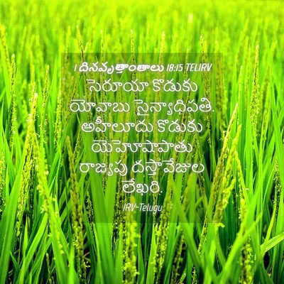 Picture 04 - 1 దినవృత్తాంతాలు 18:15 TELIRV - సెరూయా కొడుకు - Bible Verse Picture