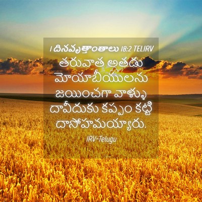 Picture 04 - 1 దినవృత్తాంతాలు 18:2 TELIRV - తరువాత అతడు - Bible Verse Picture