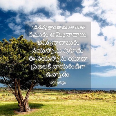Picture 04 - 1 దినవృత్తాంతాలు 2:10 TELIRV - రముకు - Bible Verse Picture