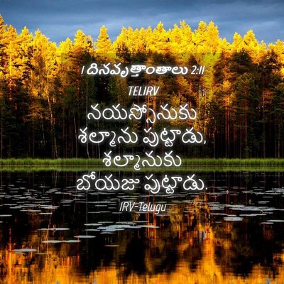 Picture 04 - 1 దినవృత్తాంతాలు 2:11 TELIRV - నయస్సోనుకు - Bible Verse Picture