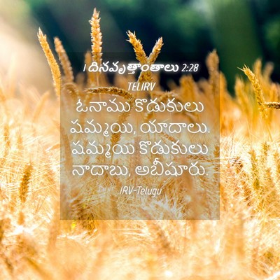 Picture 04 - 1 దినవృత్తాంతాలు 2:28 TELIRV - ఓనాము కొడుకులు - Bible Verse Picture