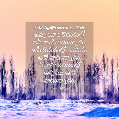 Picture 04 - 1 దినవృత్తాంతాలు 2:31 TELIRV - అప్పయీం - Bible Verse Picture