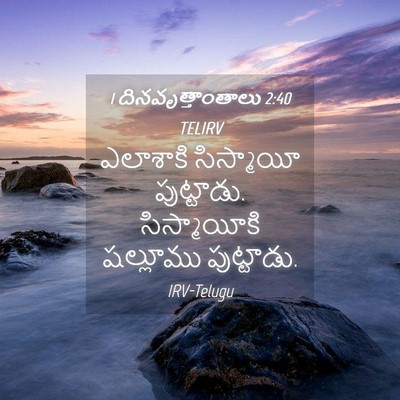 Picture 04 - 1 దినవృత్తాంతాలు 2:40 TELIRV - ఎలాశాకి సిస్మాయీ - Bible Verse Picture