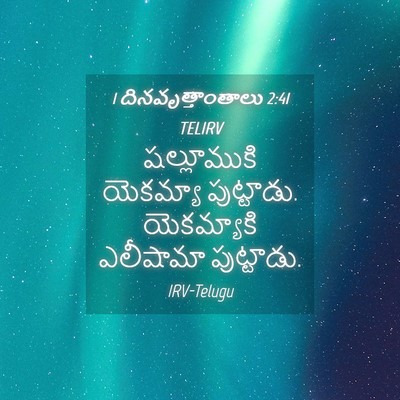 Picture 04 - 1 దినవృత్తాంతాలు 2:41 TELIRV - షల్లూముకి యెకమ్యా - Bible Verse Picture