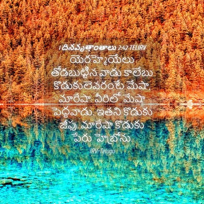 Picture 04 - 1 దినవృత్తాంతాలు 2:42 TELIRV - యెరహ్మెయేలు - Bible Verse Picture