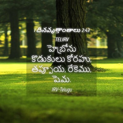 Picture 04 - 1 దినవృత్తాంతాలు 2:43 TELIRV - హెబ్రోను కొడుకులు - Bible Verse Picture