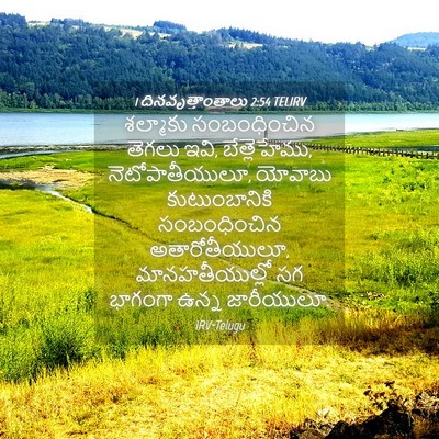 Picture 04 - 1 దినవృత్తాంతాలు 2:54 TELIRV - శల్మాకు - Bible Verse Picture
