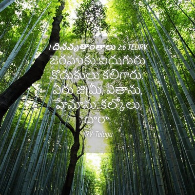 Picture 04 - 1 దినవృత్తాంతాలు 2:6 TELIRV - జెరహుకు ఐదుగురు - Bible Verse Picture