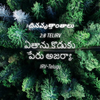 Picture 04 - 1 దినవృత్తాంతాలు 2:8 TELIRV - ఏతాను కొడుకు పేరు - Bible Verse Picture