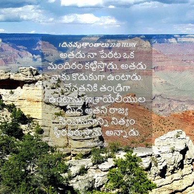 Picture 04 - 1 దినవృత్తాంతాలు 22:10 TELIRV - అతడు నా పేరట ఒక - Bible Verse Picture