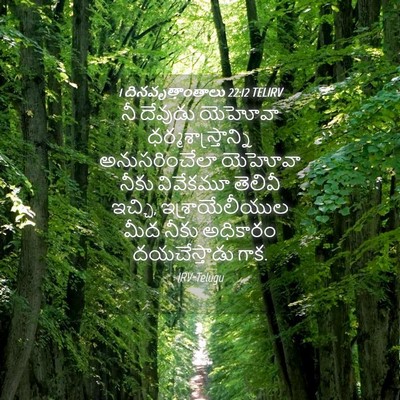 Picture 04 - 1 దినవృత్తాంతాలు 22:12 TELIRV - నీ దేవుడు యెహోవా - Bible Verse Picture