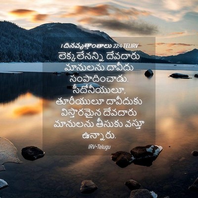 Picture 04 - 1 దినవృత్తాంతాలు 22:4 TELIRV - లెక్కలేనన్ని - Bible Verse Picture