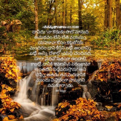 Picture 04 - 1 దినవృత్తాంతాలు 22:5 TELIRV - దావీదు “నా కొడుకు - Bible Verse Picture