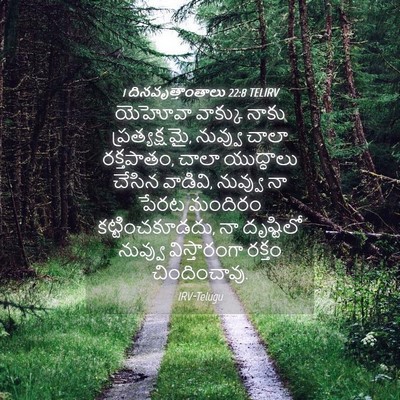 Picture 04 - 1 దినవృత్తాంతాలు 22:8 TELIRV - యెహోవా వాక్కు - Bible Verse Picture
