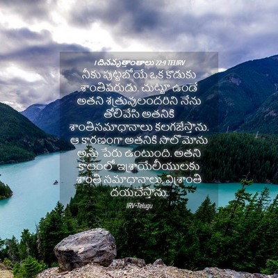 Picture 04 - 1 దినవృత్తాంతాలు 22:9 TELIRV - నీకు పుట్టబోయే ఒక - Bible Verse Picture