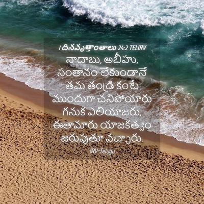 Picture 04 - 1 దినవృత్తాంతాలు 24:2 TELIRV - నాదాబు, అబీహు, - Bible Verse Picture