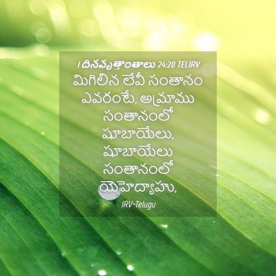 Picture 04 - 1 దినవృత్తాంతాలు 24:20 TELIRV - మిగిలిన లేవీ - Bible Verse Picture