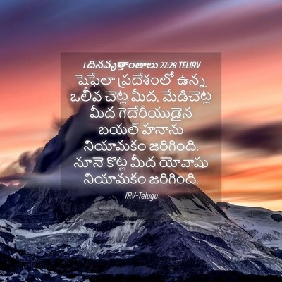 Picture 04 - 1 దినవృత్తాంతాలు 27:28 TELIRV - షెఫేలా ప్రదేశంలో - Bible Verse Picture