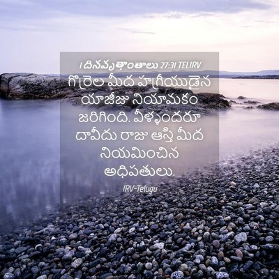 Picture 04 - 1 దినవృత్తాంతాలు 27:31 TELIRV - గొర్రెల మీద - Bible Verse Picture