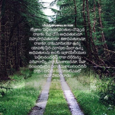 Picture 04 - 1 దినవృత్తాంతాలు 28:1 TELIRV - గోత్రాల పెద్దలనూ, - Bible Verse Picture