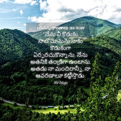 Picture 04 - 1 దినవృత్తాంతాలు 28:6 TELIRV - “నేను నీ కొడుకు - Bible Verse Picture