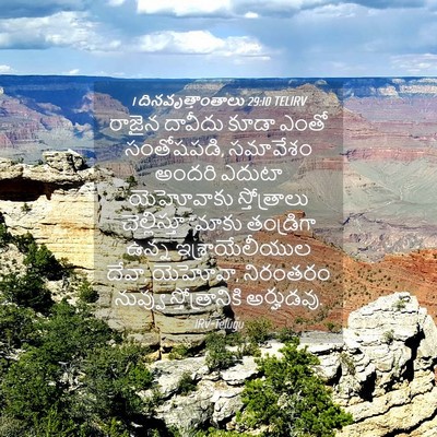 Picture 04 - 1 దినవృత్తాంతాలు 29:10 TELIRV - రాజైన దావీదు కూడా - Bible Verse Picture