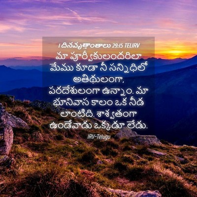 Picture 04 - 1 దినవృత్తాంతాలు 29:15 TELIRV - మా - Bible Verse Picture