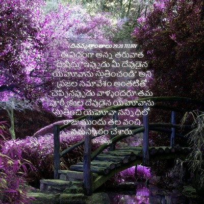 Picture 04 - 1 దినవృత్తాంతాలు 29:20 TELIRV - ఈ విధంగా అన్న - Bible Verse Picture