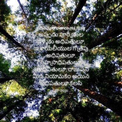 Picture 04 - 1 దినవృత్తాంతాలు 29:6 TELIRV - అప్పుడు పూర్వీకుల - Bible Verse Picture