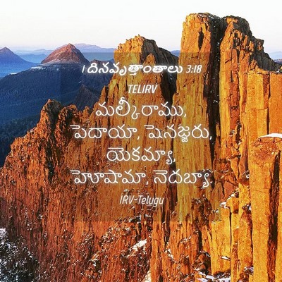Picture 04 - 1 దినవృత్తాంతాలు 3:18 TELIRV - మల్కీరాము, పెదాయా, - Bible Verse Picture