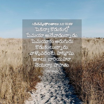 Picture 04 - 1 దినవృత్తాంతాలు 3:22 TELIRV - షెకన్యా - Bible Verse Picture