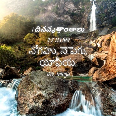Picture 04 - 1 దినవృత్తాంతాలు 3:7 TELIRV - నోగహు, నెపెగు, - Bible Verse Picture