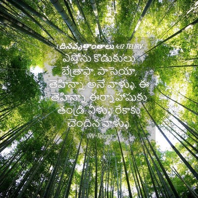 Picture 04 - 1 దినవృత్తాంతాలు 4:12 TELIRV - ఎష్తోను కొడుకులు - Bible Verse Picture