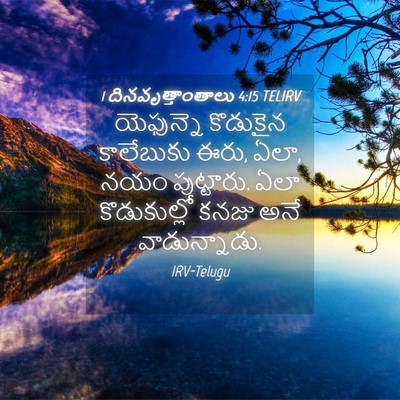 Picture 04 - 1 దినవృత్తాంతాలు 4:15 TELIRV - యెఫున్నె కొడుకైన - Bible Verse Picture