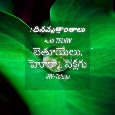 Picture 04 - 1 దినవృత్తాంతాలు 4:30 TELIRV - బెతూయేలు, హోర్మా, - Bible Verse Picture