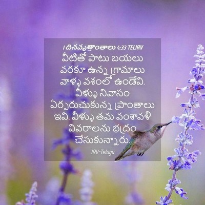 Picture 04 - 1 దినవృత్తాంతాలు 4:33 TELIRV - వీటితో పాటు బయలు - Bible Verse Picture