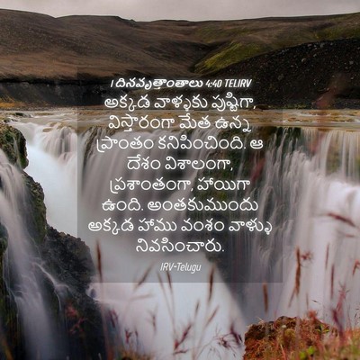 Picture 04 - 1 దినవృత్తాంతాలు 4:40 TELIRV - అక్కడ వాళ్ళకు - Bible Verse Picture