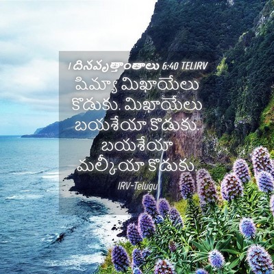 Picture 04 - 1 దినవృత్తాంతాలు 6:40 TELIRV - షిమ్యా మిఖాయేలు - Bible Verse Picture