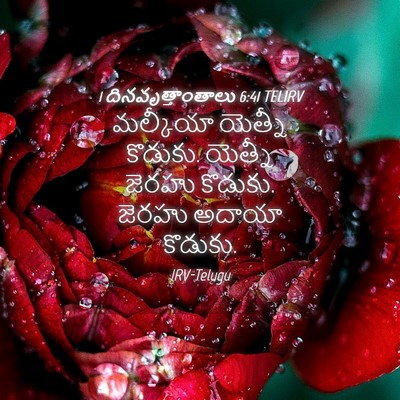 Picture 04 - 1 దినవృత్తాంతాలు 6:41 TELIRV - మల్కీయా యెత్నీ - Bible Verse Picture