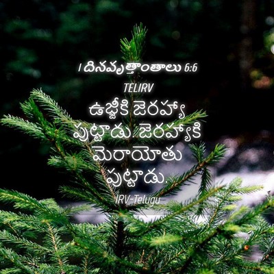 Picture 04 - 1 దినవృత్తాంతాలు 6:6 TELIRV - ఉజ్జీకి జెరహ్యా - Bible Verse Picture