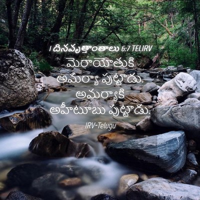 Picture 04 - 1 దినవృత్తాంతాలు 6:7 TELIRV - మెరాయోతుకి అమర్యా - Bible Verse Picture